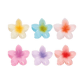Pinza hawaian colors