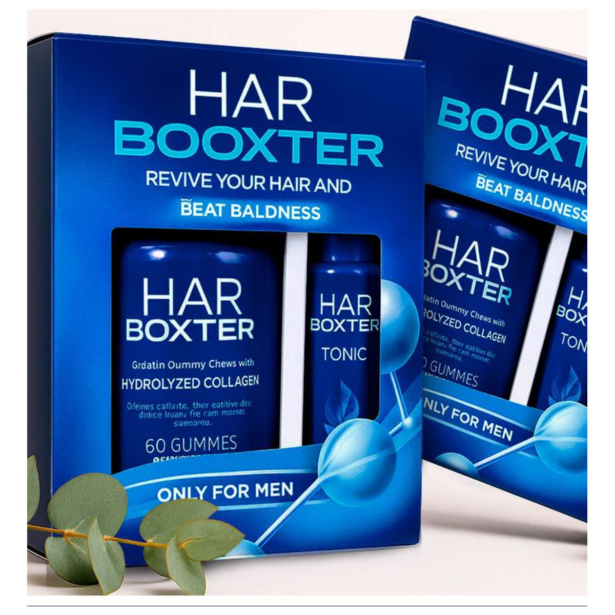 Kit Harbooxter